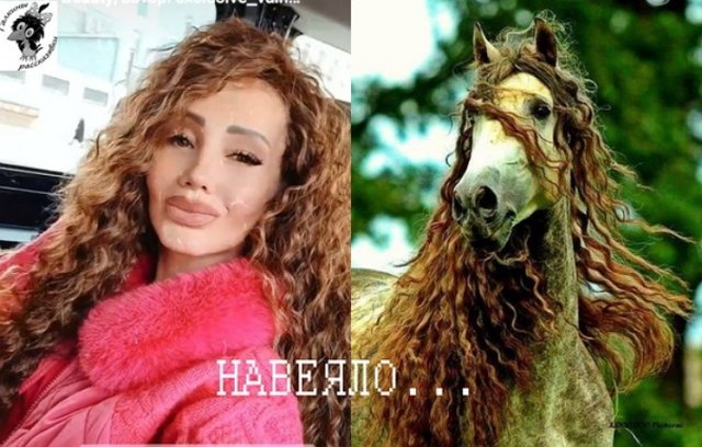 ����� �� ������������ (30.10.2022)