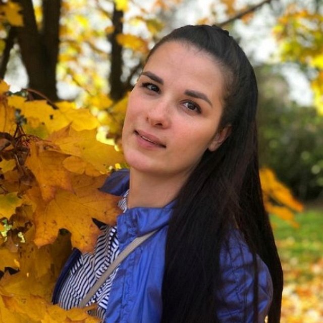 ���� �� ������ ���������� (1.11.2022)