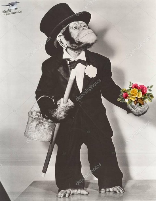 Мнение о последних проектных событиях (2.11.2022) Мнение о последних проектных событиях (2.11.2022)