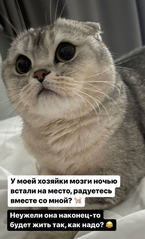 ���������� �����: ���� ������ �� ��������