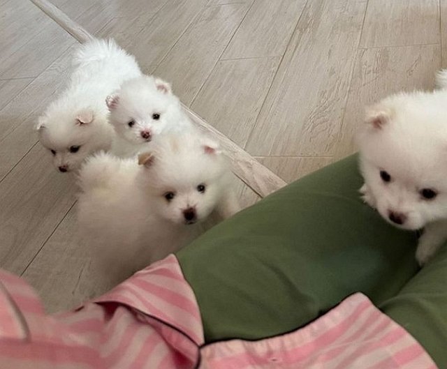 ����� ������ ������������ ������� ���������� ������ �� ������� ����� ������