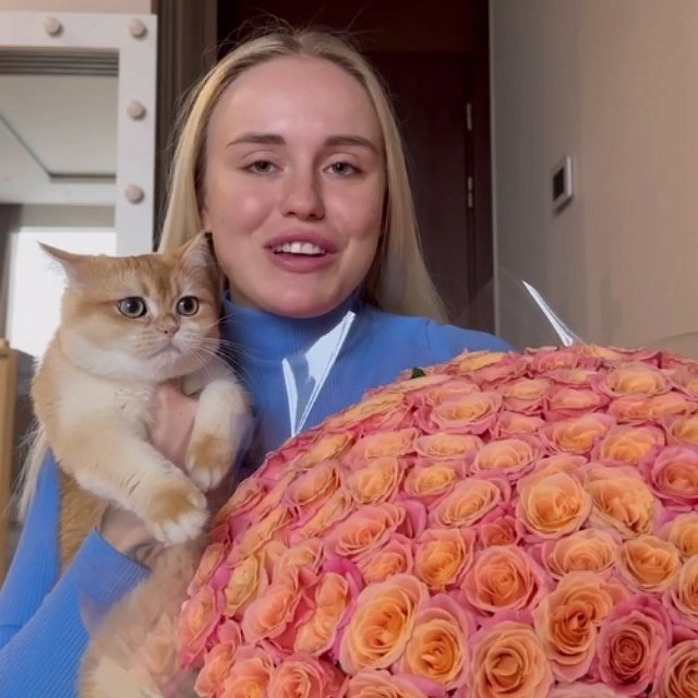 ���� �� ������ ���������� (10.11.2022)