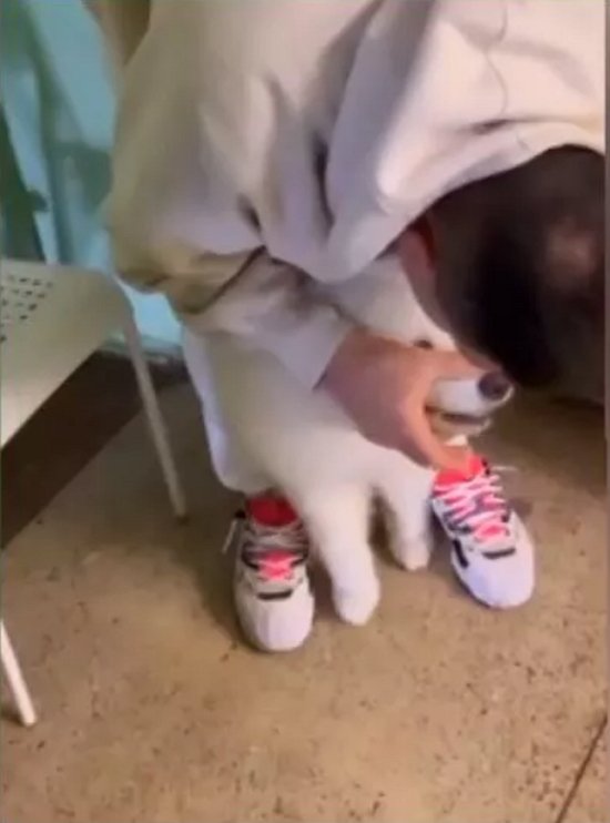 ���������� �� �������, ��� ��� ��� ��������� ��� ����� ������