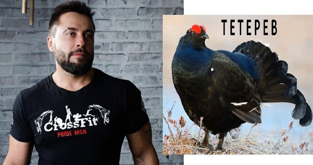 ������ � ��������� ��������� �������� (12.11.2022)