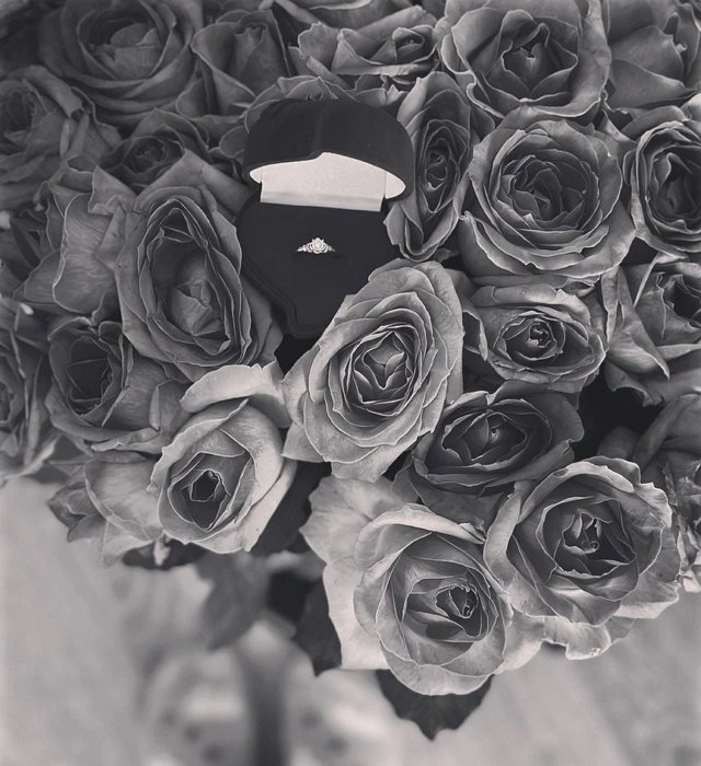 ������� ������: ��� ���� ����� ����������