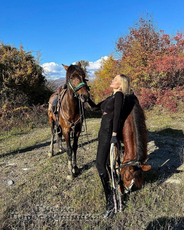 ���� �� ������ ���������� (14.11.2022)