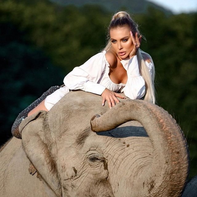 ���� �� ������ ���������� (15.11.2022)