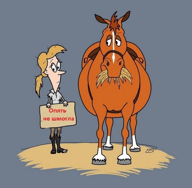 ������ � ��������� ��������� �������� (16.11.2022)