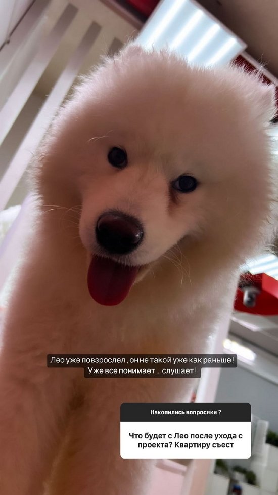 �������� ����������: � ����� ����� �������...