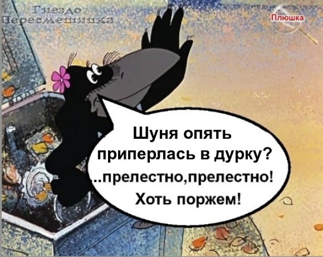 ������� ���-2 (17.11.2022)