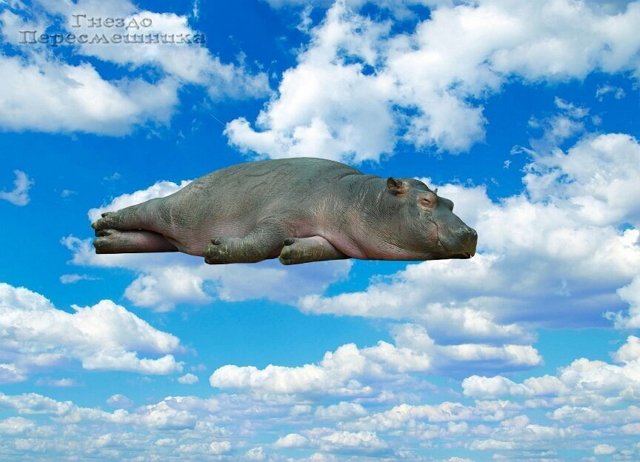 ������ � ��������� ��������� �������� (19.11.2022)