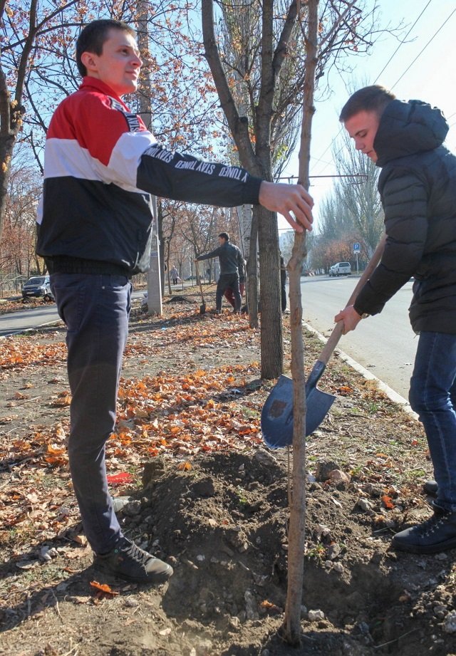 ����� �������� ������� �������