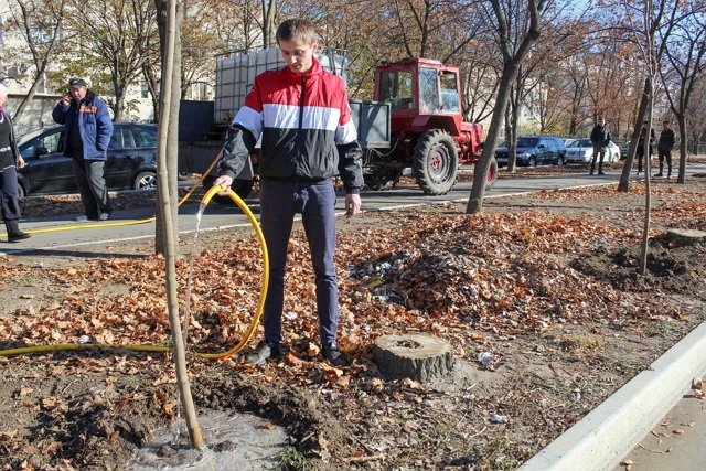 ����� �������� ������� �������