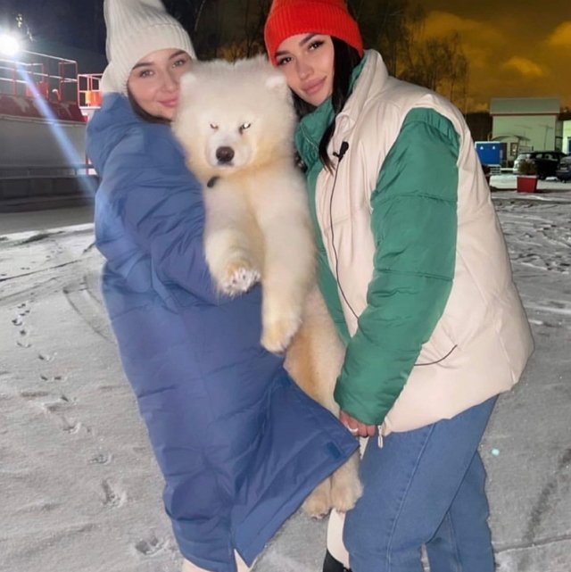 Фото от участников (27.11.2022) Фото от участников (27.11.2022)