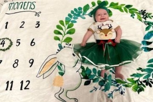 ������� ������: �����, ������ ������ �����