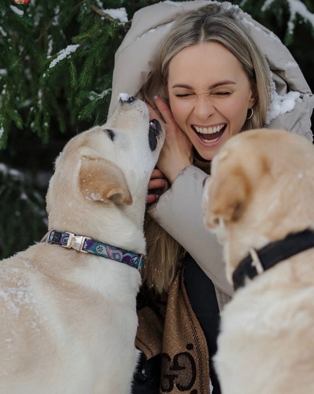 ���� �� ������ ���������� (9.12.2022)