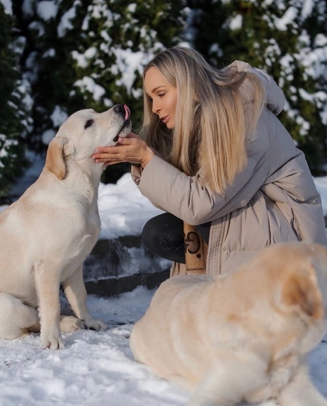 ���� �� ������ ���������� (9.12.2022)