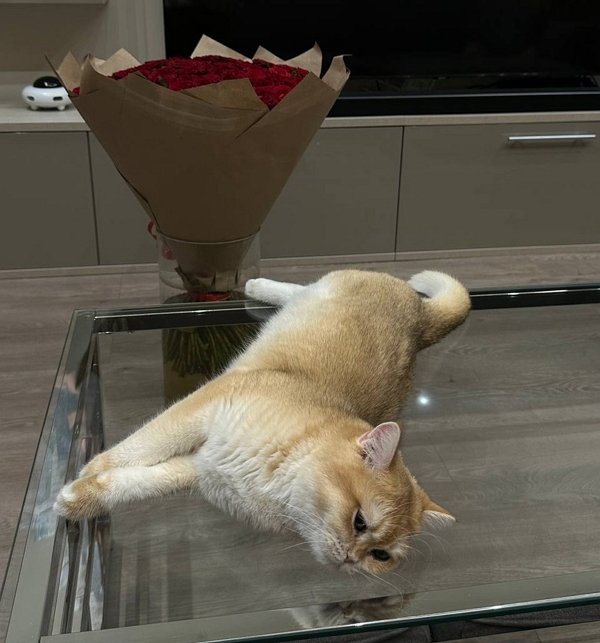 ������ �����������: ���� � ����� �� �������