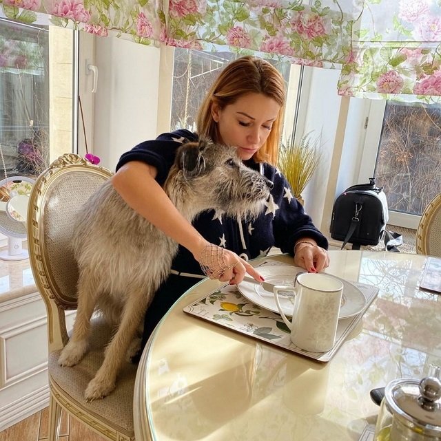 ���� �� ���������� (11.12.2022)