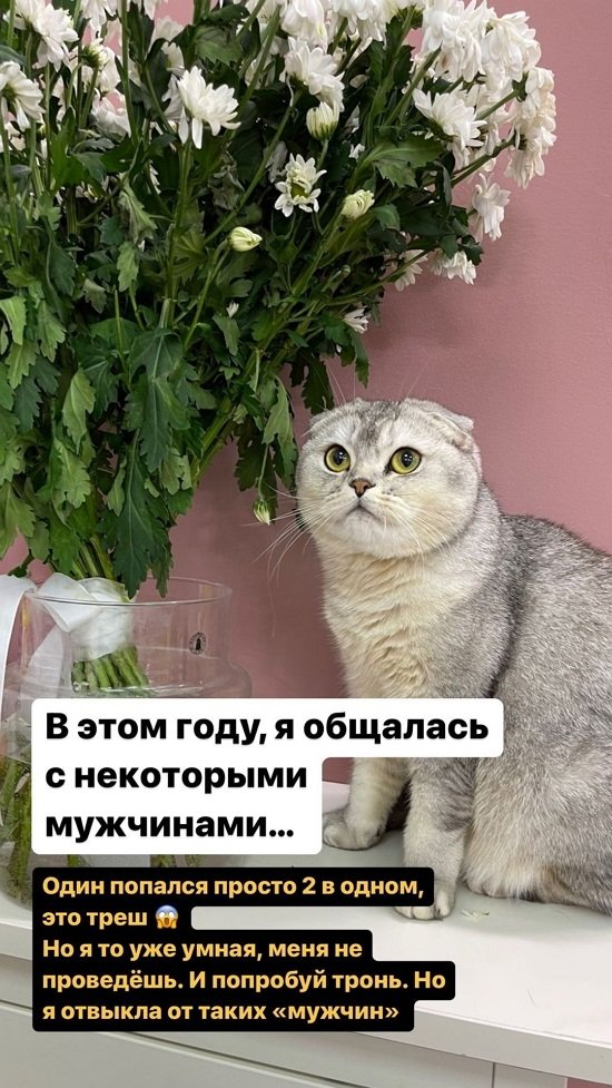 ���������� �����: ������ ����� ������ ������