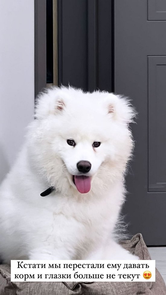 �������� ����������: ����� �������� �� ������� ������...