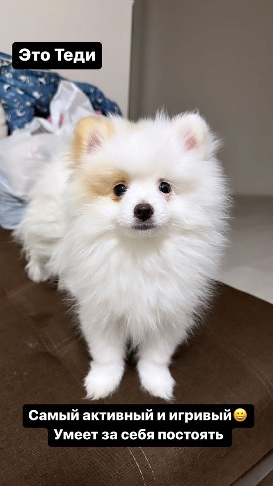 ����� ������: ��� ������ �������������!