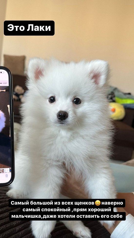 ����� ������: ��� ������ �������������!