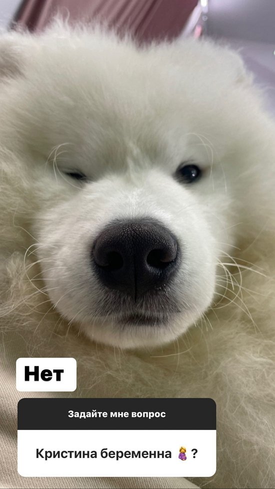 ���� ��������: � ����� ������ � �������!