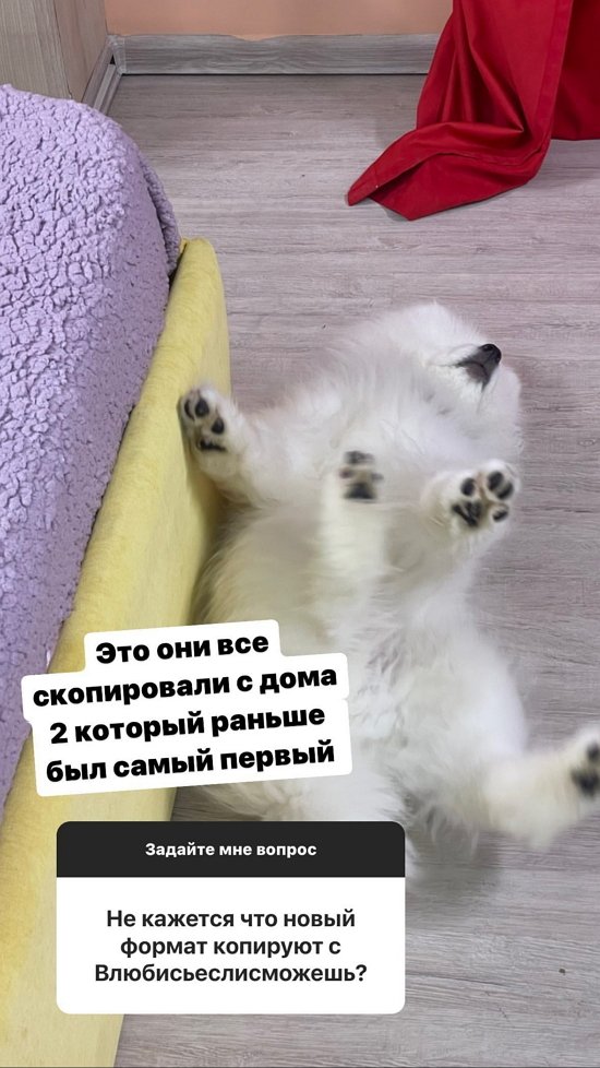 ���� ��������: � ����� ������ � �������!