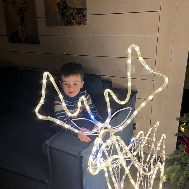 ���� ����������: ��������� ����, ����������