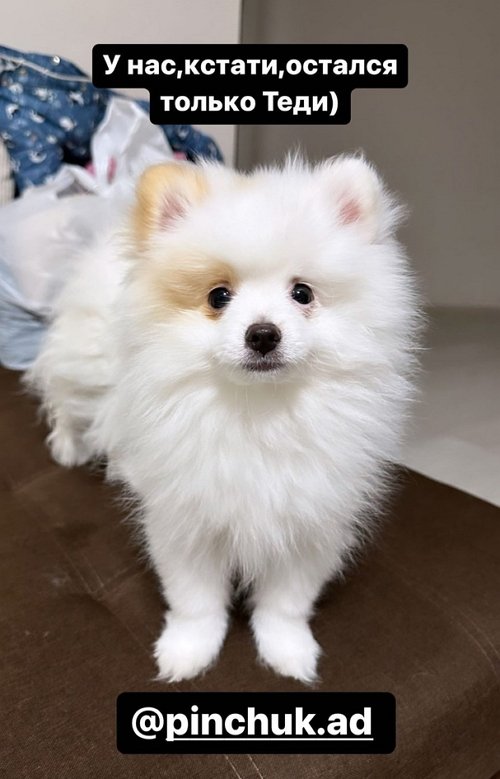 ����� ������: ����� ������ ������ �� ���� ���������� �������