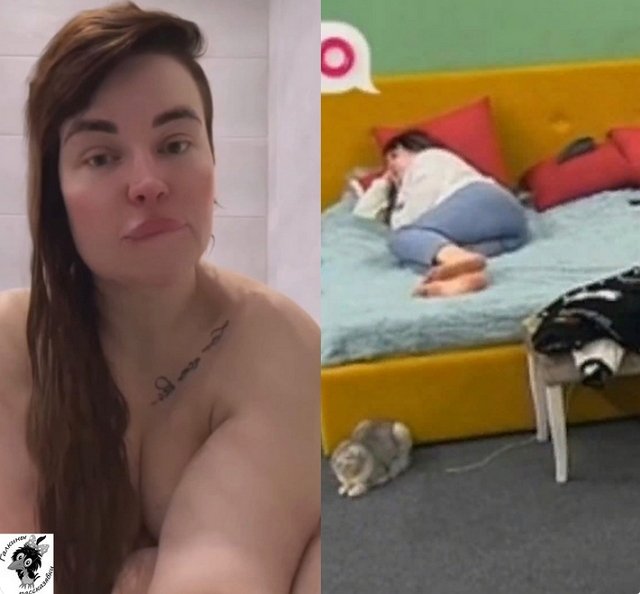 ����� �� �������� (24.12.2022)