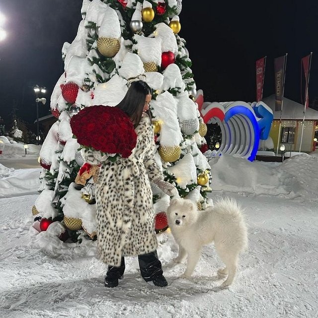 ���� �� ���������� (25.12.2022)