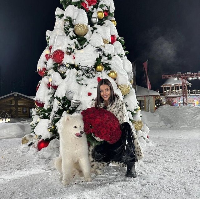 ���� �� ���������� (25.12.2022)