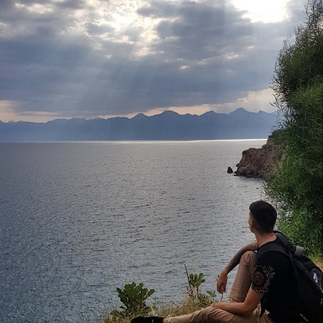 ����� �������� ������ �������