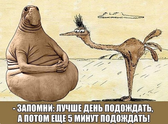 ������ � ��������� ��������� �������� (6.01.2023)