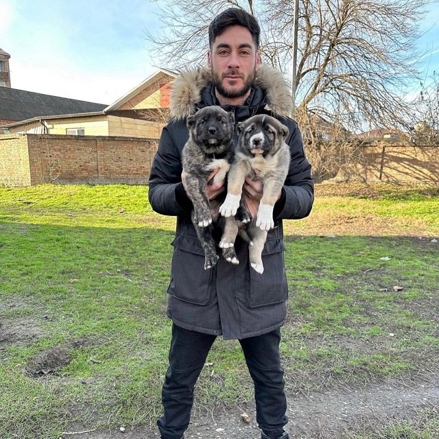 Фото от участников (7.01.2023) Фото от участников (7.01.2023)