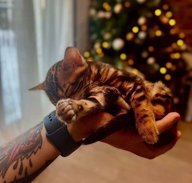 ������� ��������: ������� ������ � �������