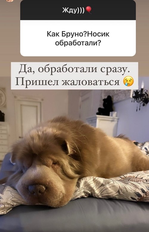 ����� ������: ��� ����� ����� ������ �����!