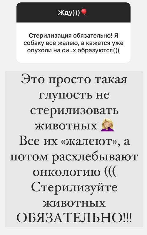 ����� ������: ��� ����� ����� ������ �����!