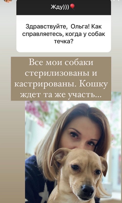 ����� ������: ��� ����� ����� ������ �����!