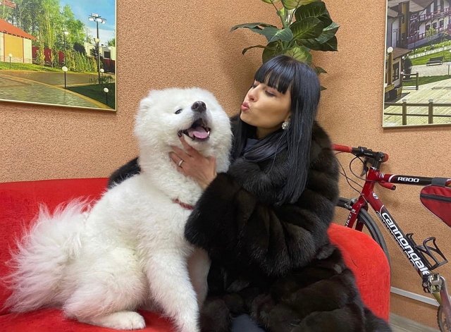 ���� �� ���������� (11.01.2023)