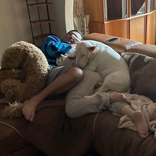 ���� �� ������ ���������� (11.01.2023)