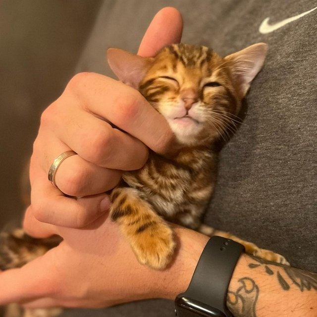 ������� ��������: �� ����������� �������!