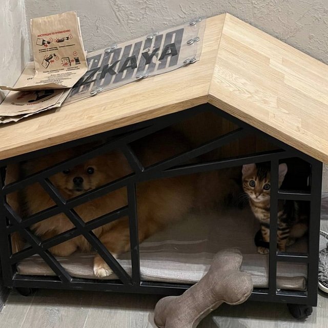 ������� ��������: ���� �������� �����������