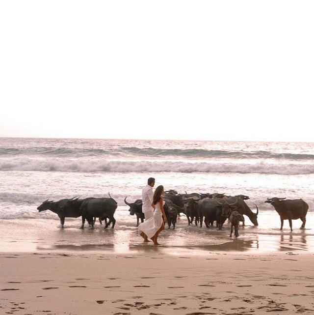 ���������� ������: ������ ����� ����� � ����� ���������