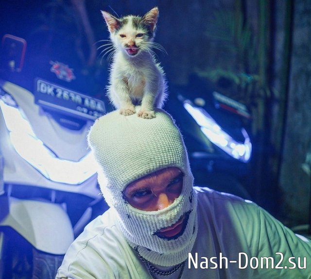 ������� �������: ���� ����� ����������� ���������� ����� ������