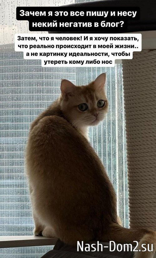 Милена Безбородова: Я не чувствую ничего...