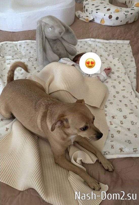Ольга Орлова опубликовала трогательный снимок с дочкой и собакой