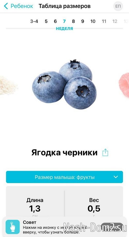 ��������� ����������: ��� ��� ������ �������� ��� �������!